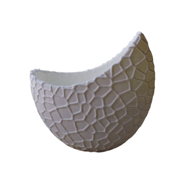 Maceta En Forma De Medialuna Con Textura Moderna Aesthetic