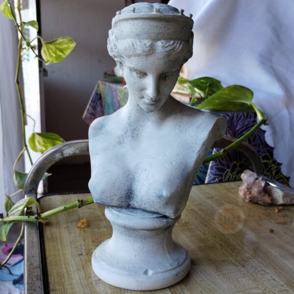 Estatua Venus De Capua Simil Mármol Clásica Romana Busto 3d - Image 4