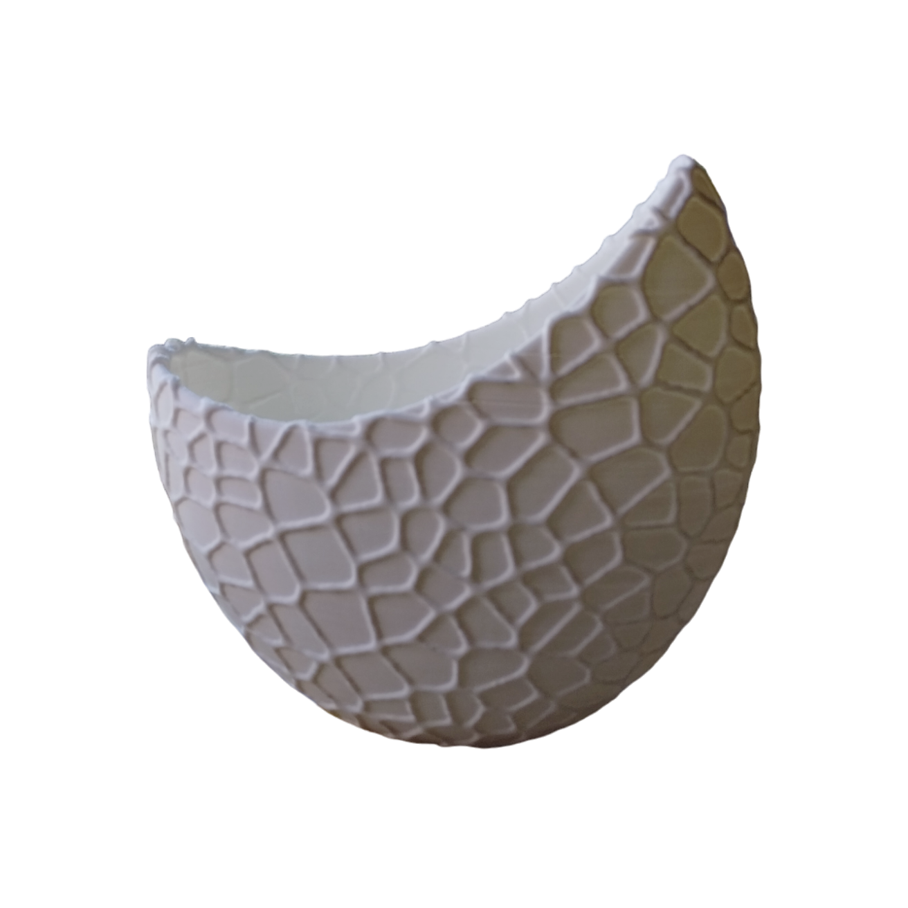 Maceta En Forma De Medialuna Con Textura Moderna Aesthetic